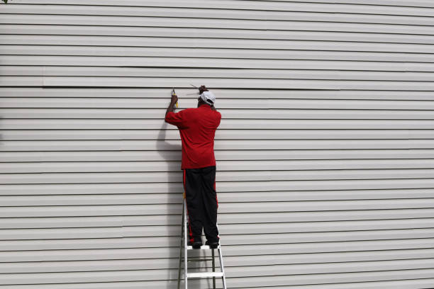Best Siding Painting and Refinishing  in Willard, MO